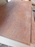 Sell_ Sanding 2 sides plywood Bintangor glue MR hardwood